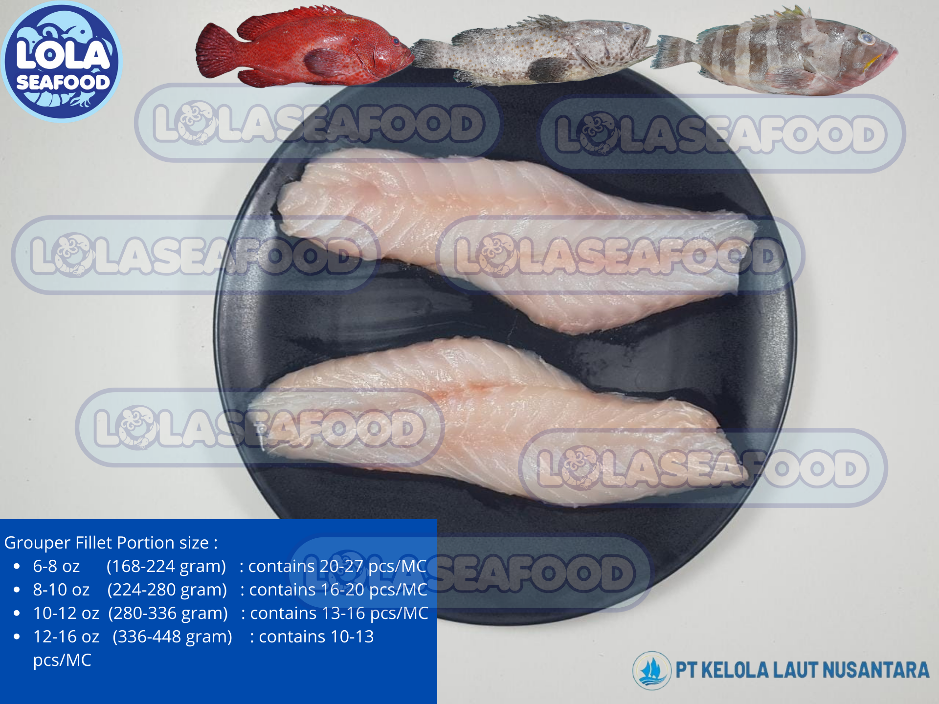 Grouper Fillet Portion Cut